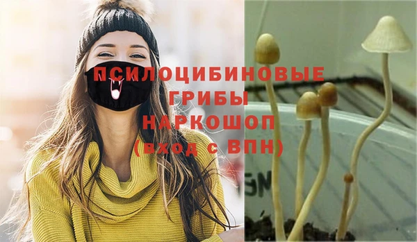 ГАЛЛЮЦИНОГЕННЫЕ ГРИБЫ Покачи