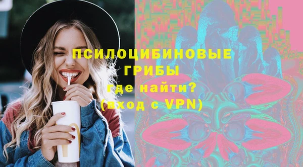 ГАЛЛЮЦИНОГЕННЫЕ ГРИБЫ Покачи