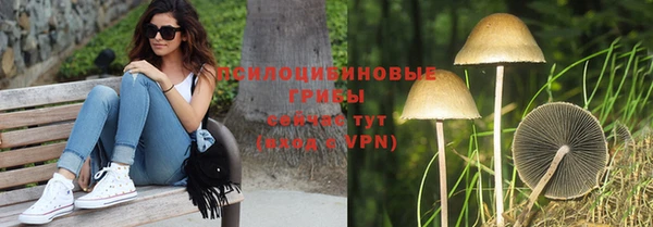 мяу мяу мука Покровск