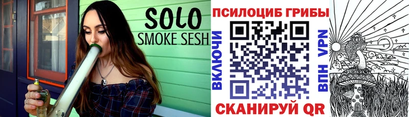 Купить закладки  Сенгилей  Псилоцибиновые грибы Psilocybe 
