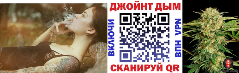 Купить  Сенгилей  Канабис план 